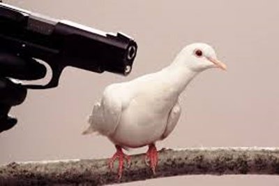 Mona-Pigeon