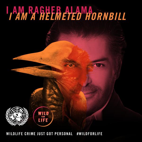 ragheb